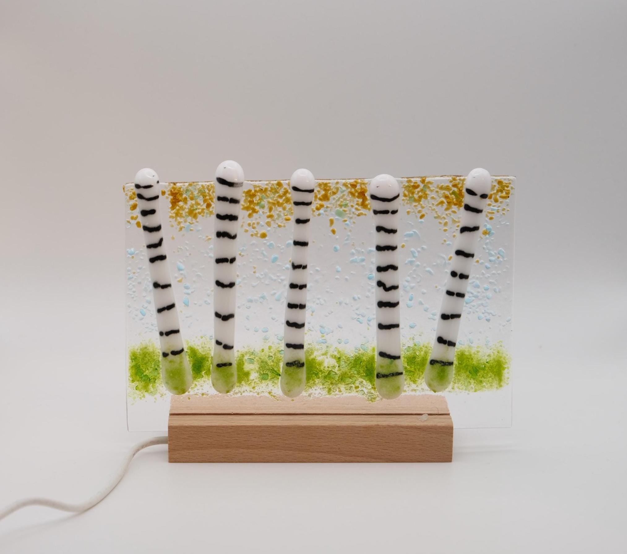 Birch tree fused glass desktop art panel on wood frame, lights up with LED lights, 5 x 4 inches seeds glassworks seedsglassworks
